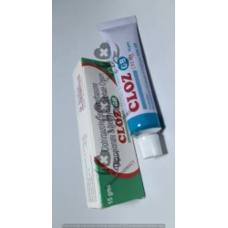 CLOZ-GB CREAM 15GM 1*15GM CLOZ-GB CREAM 15GM 1*15GM