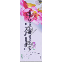 FHEAL VAGINAL CREAM 32GM 1*32GM