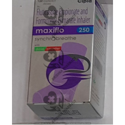 MAXIFLO-250 SYNCHROBREATHE (S) 1X1