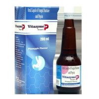 VITAZYME-P SYP 200ML 1X200ML VITAZYME-P SYP 200ML 1X200ML