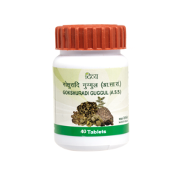 PAT.GOKSHURADI GUGGUL 1X80