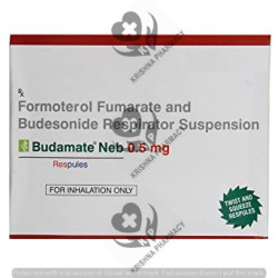 BUDAMATE NEB 0.5MG RESPLUS 1 PCS