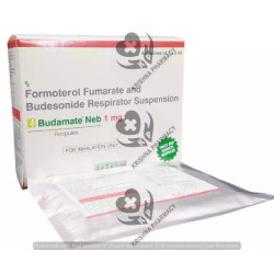 BUDAMATE NEB 1MG RESPULES 2ML