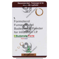 BUDAMATE FORTE TRANSCAP  1*30