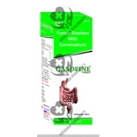 GASOFINE SYP 200ML GASOFINE SYP 200ML