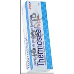 THERMOSEAL PASTE 100GM REPAIR 1X100GM
